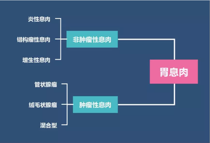 哪些胃息肉会癌变?一文读懂所有分型和治疗建议