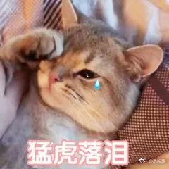 20200528200654-SQfBSQ.jpg 表情包.jpg