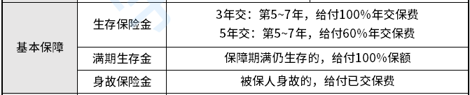 年金险基本保障.png