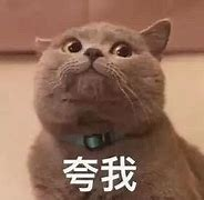 20201229113400-ihHXTc.png 夸我.png