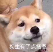 20210112095949-fTbwol.png image.png