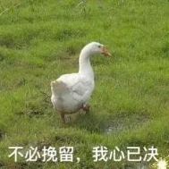 20210123170414-rnSiGu.png image.png