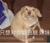 20210316194247-vmBlTD.png image.png