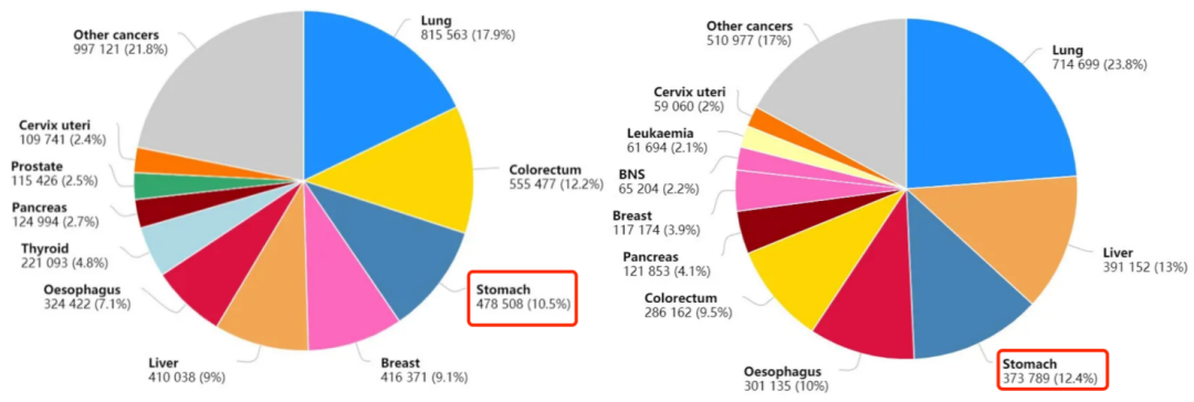 1  中国癌症新发病例数和死亡病例数前十的癌症类型.png